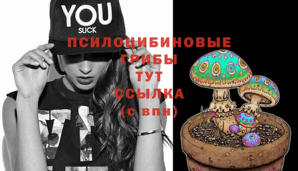 стафф Абинск