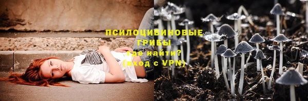 стафф Абинск
