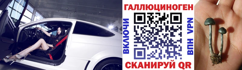 Псилоцибиновые грибы прущие грибы  ОМГ ОМГ ТОР  Ясный 